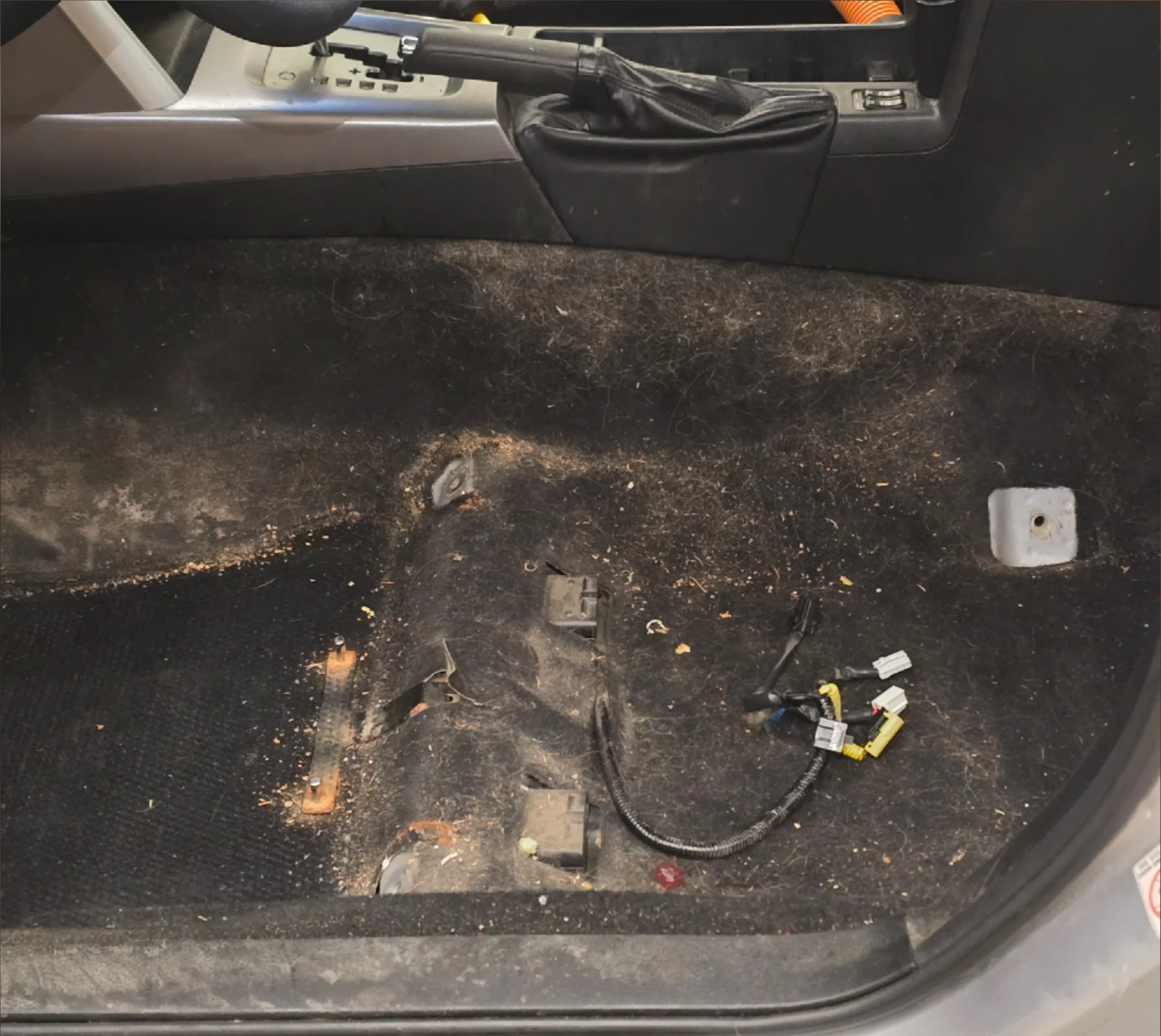 Odor, Stain & Contamination Removal in Anchorage, Alaska